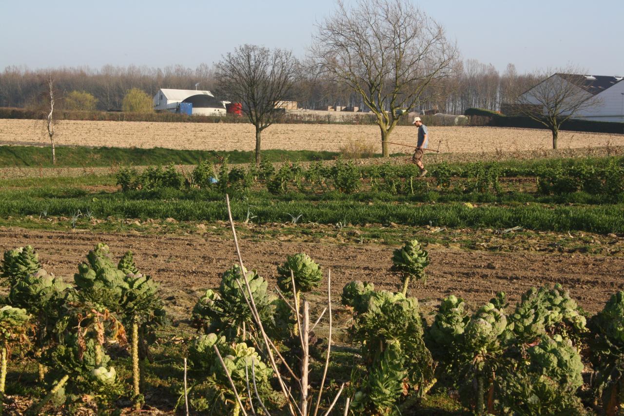 Le Jardin des Saules printemps 2014