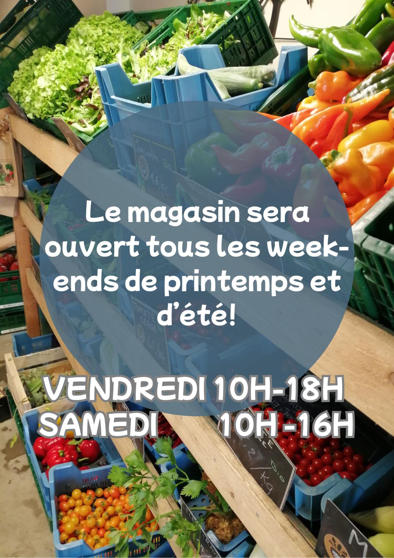 Le magasin sera ouvert tout les week end de printemps et d ete 2